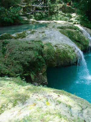 imagem n.2 de De Falmouth: Tour combinado de Blue Hole e River Tubing atividade em Clarendon, carregada pelo fornecedor