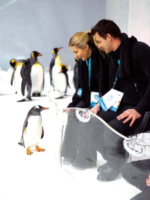 2. fotó – Melbourne: SEA LIFE Akvárium belépőjegy – program helye: Melbourne, feltöltötte a programszervező