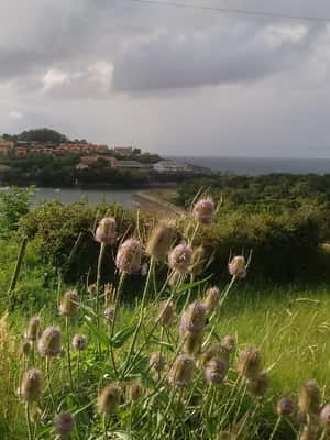 2. attēls no Santander: Kantabrijas rietumu piekrastes ciematiņi Dienas ceļojums aktivitātes Komiļasa, augšupielādējis partneris