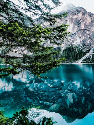 image n.2 of From Banff/Canmore: Moraine Lake, Lake Louise 1.5 hrs Each activity in Alberta, uploaded by supplier