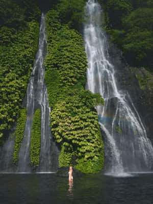 image n.2 of North Bali: Sekumpul and Banyumala Waterfalls & Rice Terrace activity in Bali, uploaded by supplier