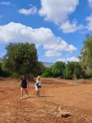 Immagine nº 2 di Ostuni: Tour in bicicletta con un bicchiere di vino e bruschetta attività a Ostuni, caricata dal fornitore