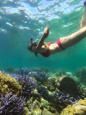 afbeelding n.2 van Privétour snorkelen Gili Gede, GIli Asahan, Gili Goleng activiteit in West-Nusa Tenggara, geüpload door aanbieder