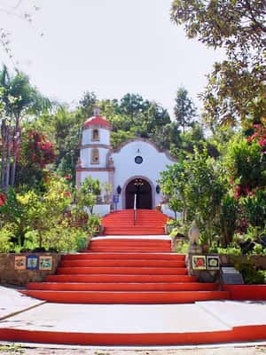imatge núm.2 de l'activitat de Puerto Vallarta: Excursió als jardins botànics, destil·leria i cafè a Jalisco, penjada pel proveïdor