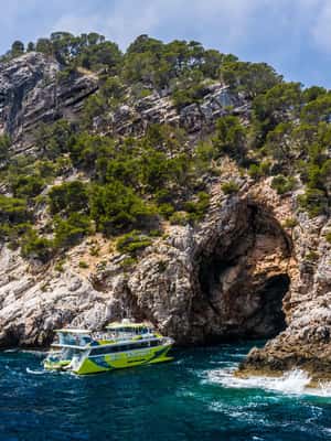 image n.2 of From Sa Coma: East Coast Glass Bottom Boat Trip activity in Porto Cristo, uploaded by supplier