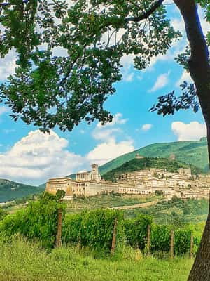 imagem n.2 de Assis: Degustação de vinhos, harmonização gastronômica, caminhada nos vinhedos atividade em Assis, Itália, carregada pelo fornecedor