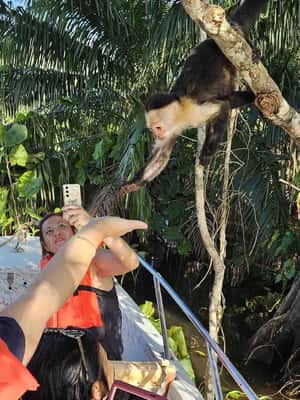 image n.2 of Panama: Monkey Island, Sloth Sanctuary and Panama Canal Tour activity in Colón Province, uploaded by supplier