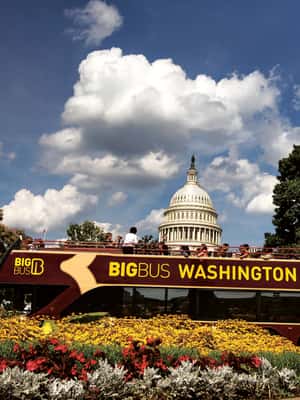 billede nr.2 af aktiviteten Washington DC: Hop på-/hop af-bustur og solnedgangstur i Washington, DC, uploadet af udbyder