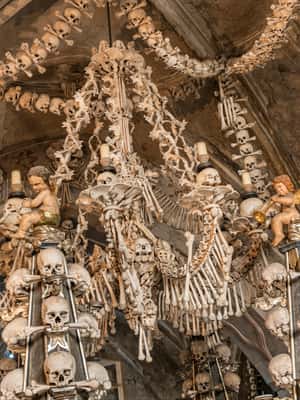 image n.2 of Private day trip: Prague to Kutna Hora, Bone church & Castle activity in Kutná Hora, uploaded by supplier