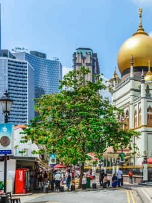 imagen n.º 2 de Tour a pie: ¡Explorando el Kampong Glam de Singapur ! actividad en Singapur, subida por el proveedor
