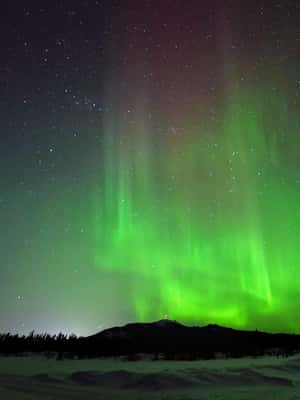 image n.2 of Whitehorse: Nighttime Northern Lights Viewing activity in Whitehorse, uploaded by supplier