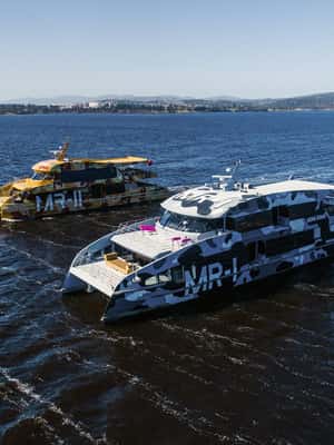 image n.2 of Hobart: Moorilla's Wine + Art at Mona by Boat activity in Hobart, uploaded by supplier