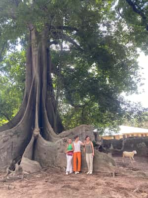 obrázok č. 2 aktivity Z Palmarinu: Saloumské ostrovy na 2 noci v destinácii Región Fatick, obrázok nahral dodávateľ