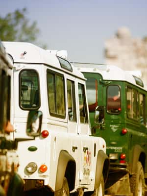 image n.2 of Safari 4x4 in Camargue / VIP Tour 3h30 / Grau du Roi activity in South of France, uploaded by supplier