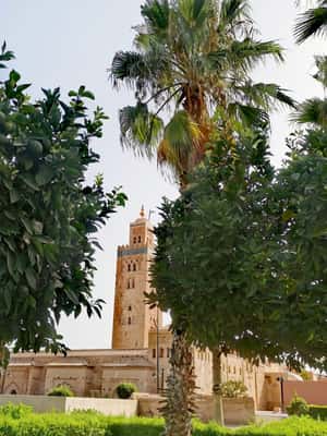 image n.2 of Sparkling Marrakech through the eyes of your local Guide activity in Marrakesh, uploaded by supplier