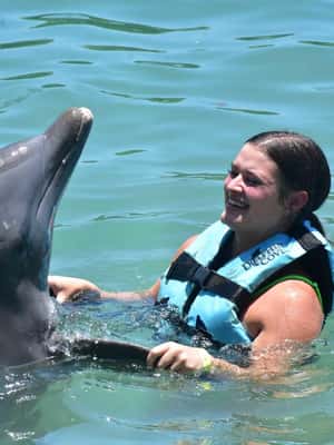 imagem n.2 de Montego Bay: Aventura de nadar com os golfinhos em Lucea atividade em Lucea, carregada pelo fornecedor