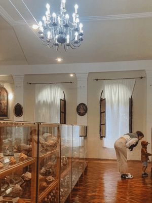 image n.2 of Cavtat: Shell Museum Entry Ticket with Guided Tour Option activity in Cavtat, uploaded by supplier