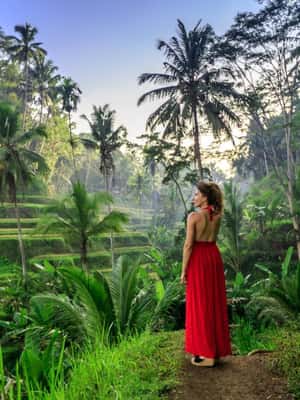 image n.2 of Ubud: All-Inclusive Tour with Optional Lunch activity in Ubud, uploaded by supplier