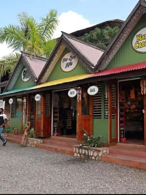 imagem n.2 de De Montego Bay: Bob Marley 9 milhas e passeio pelas cataratas do rio Dunns atividade em Ocho Rios, carregada pelo fornecedor