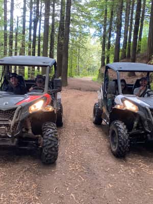 image n.2 of Madeira: Off-Road Buggy Driving Experience activity in Madeira, uploaded by supplier