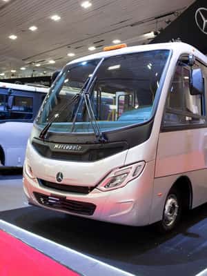 รูปภาพที่ 2 จาก กวานาวาโต: ทัวร์สาธารณะที่กว้างขวาง กิจกรรมใน เมืองกัวนาฮัวโต อัปโหลดโดยซัพพลายเออร์