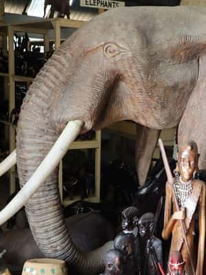 image n.2 of mombasa city tour full day activity in Diani, uploaded by supplier