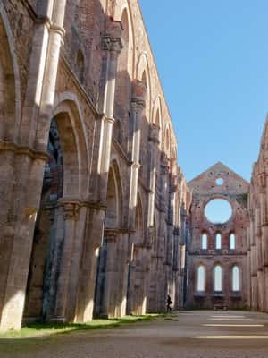 Immagine nº 2 di Tour per piccoli gruppi di San Gimignano, Volterra, Abbazia di San Galgano attività a Chiusdino, caricata dal fornitore