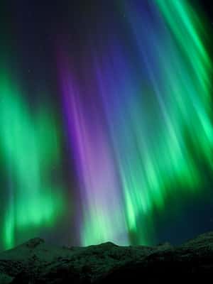 image n.2 of Tromsø: Northern Lights Tour with Free Professional Photos activity in Tromsø, uploaded by supplier