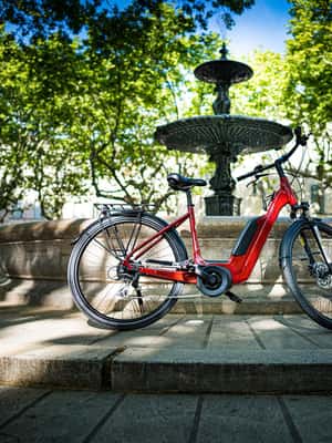 imagem n.2 de Vinha dos Alpilles em bicicleta atividade em Saint-Rémy-de-Provence, carregada pelo fornecedor