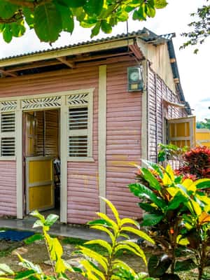 imagem n.2 de Punta Cana Cultural Tour História e Tradições em pequenos grupos atividade em Higüey, carregada pelo fornecedor