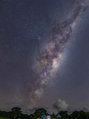 image n.2 of Tawharanui: Kiwi Spotting & Stargazing Tour w/ Optional Stay activity in Auckland, uploaded by supplier