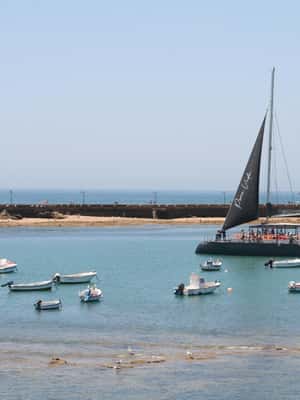 imagen n.º 2 de Cádiz: Excursión en Catamarán por la Bahía de Cádiz con Anfitrión actividad en Cádiz, subida por el proveedor