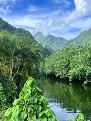 image n.2 of Tahiti: Unique Tahiti West Coast Full Day Tour to Teahupoo activity in Papeete, uploaded by supplier