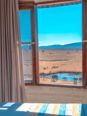 image n.2 of 2 days 1 night saltlick safari from Diani/Mombasa activity in Coast Province, uploaded by supplier