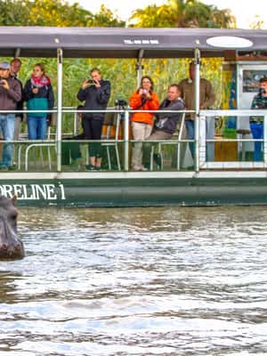 image n.2 of Durban:3 Day Hluhluwe-Imfolozi Park, St Lucia, iSimangaliso activity in Hlabisa, uploaded by supplier