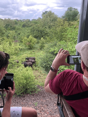 imagen n.º 2 de Cataratas Victoria: tranvía turístico actividad en Victoria Falls Town, subida por el proveedor