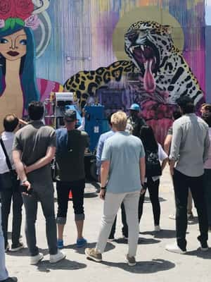 afbeelding n.2 van Miami: Wynwood Kunstdistrict Wandeltour activiteit in Miami, geüpload door aanbieder