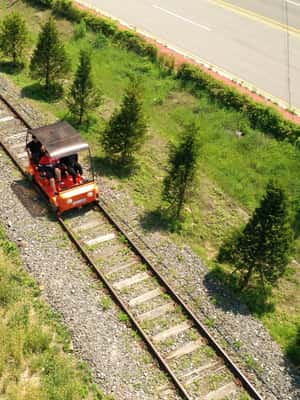 image n.2 of Seoul: Nami Island and Garden of Morning Calm (opt Railbike) activity in Chuncheon-si, uploaded by supplier
