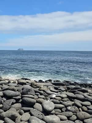 image n.2 of North Seymour Island: Full-Day Tour in Galapagos activity in Galápagos Islands, uploaded by supplier