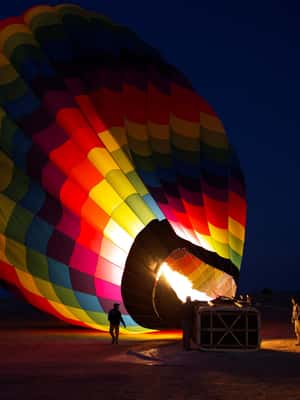 image n.2 of Dubai: Hot Air Balloon Ride with Camel Ride & Falcon Show activity in Dubai, uploaded by supplier