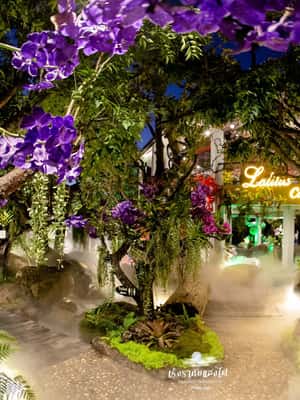 image n.2 of Chiangmai to Chiangrai: 3 Temples, Hot Springs& Lalitta Cafe activity in Chiang Rai, uploaded by supplier
