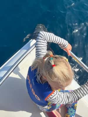 Immagine nº 2 di Muscat: gita in barca per l'osservazione dei delfini con spuntini attività a Mascate, caricata dal fornitore