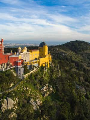 Immagine nº 2 di Lisbona: Tour privato di mezza giornata di Sintra con il Palazzo Pena attività a Sintra, caricata dal fornitore
