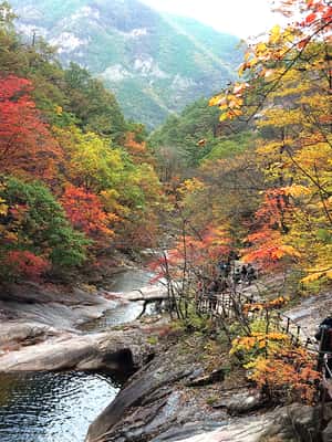 image n.2 of Seoul: Mt Seorak(Cable Car)+Sokcho Beach&Market+Observatory activity in Gangwon-do Province, uploaded by supplier