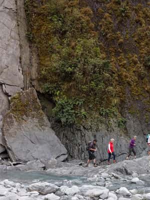 image n.2 of Franz Josef: Franz Josef Glacier Lookout Guided Walk activity in Franz Josef Town, uploaded by supplier