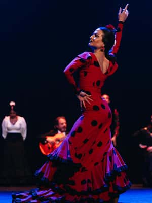 image n.2 of Seville: Live Flamenco Dancing Show Ticket at the Theater activity in Seville, uploaded by supplier