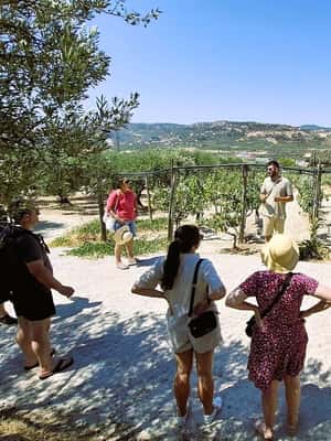 bilde nr.2 av Kreta: Knossos-palasset, vingård og olivenoljetur med lunsj aktivitet i Heraklion, lastet opp av leverandør