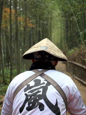 image n.2 of Kyoto/Osaka: Full-Day Guided Tour of Kyoto's Top Highlights activity in Kyoto, uploaded by supplier