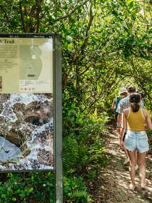 imagen n.º 2 de Desde Miami: Paseo en hidrodeslizador por los Everglades y caminata por la naturaleza actividad en Miami, subida por el proveedor