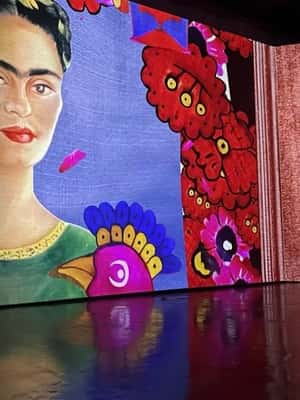 gambar no.2 daripada Amsterdam: Frida Kahlo Immersive & Pameran Foto aktiviti di Amsterdam, dimuat naik oleh pembekal 